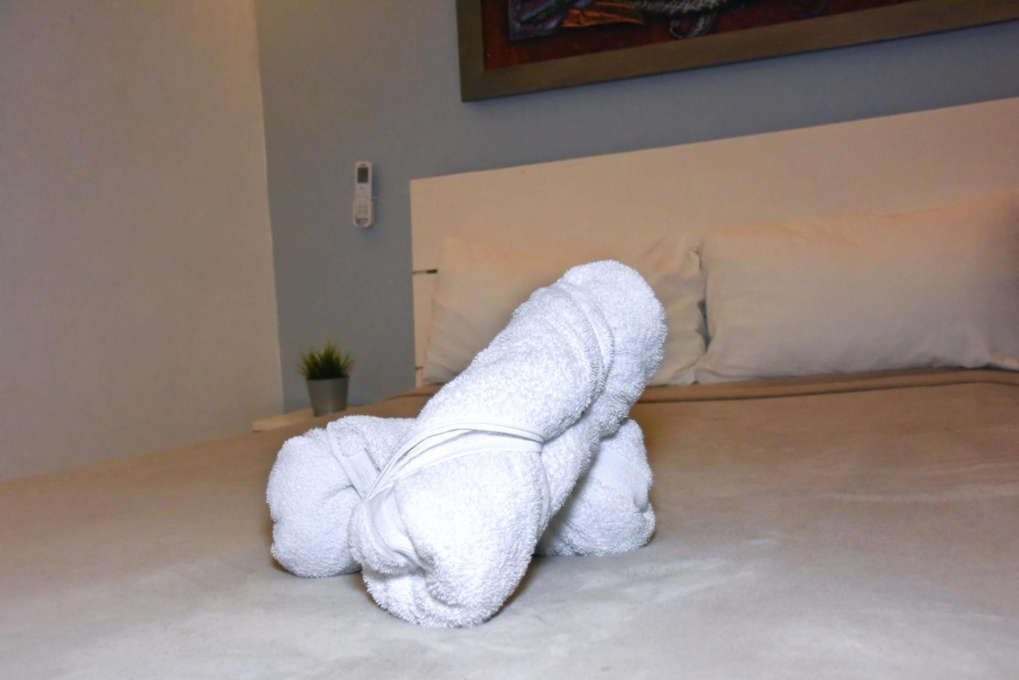 Hostel Gato Colonial Santo Domingo Kültér fotó